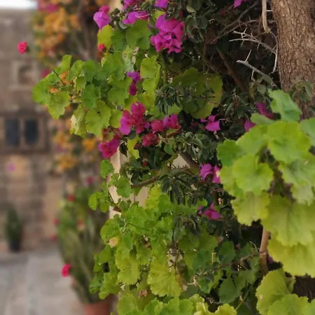 Spirit Of Gozo Unique Penthouse Xagħra